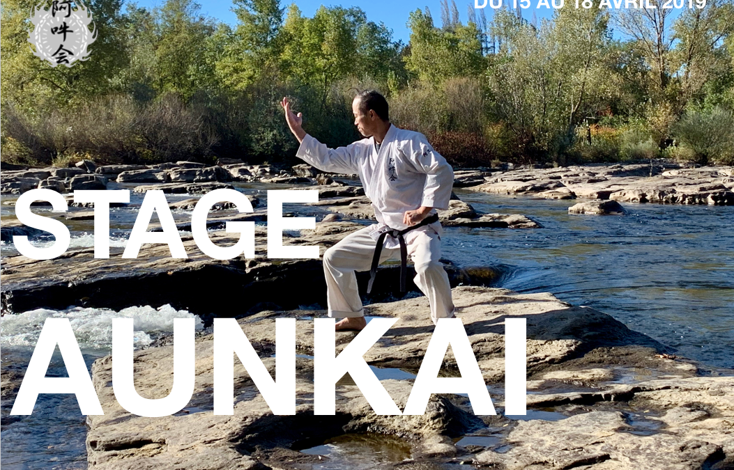 Aunkai Formation Intensive avec maître Akuzawa