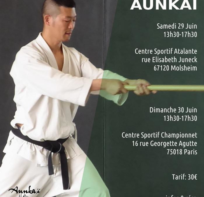 Aunkai & Shiatsu – Paris – Manabu Watanabe (Hanshi)